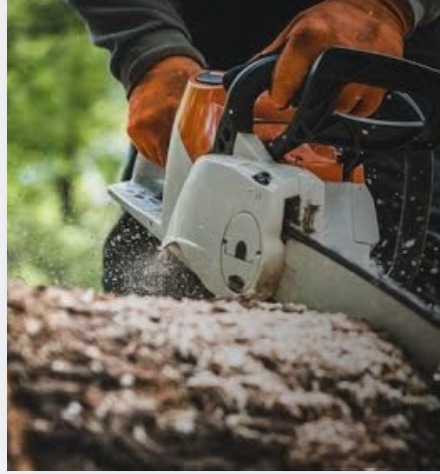 Chainsaw cutting timber during tree work